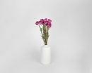 Bulk dried natural peonies in dark pink stems arranged in white ceramic vase.