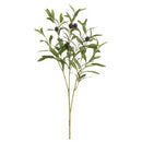 28-inch dried olive spray with green leaves and burgundy olives, natural bulk stems.