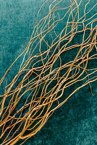 Curly Willow Branches (Long Stem) | Brown