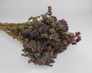 Bulk dried oregano flowers bunch with natural purple and green hues.