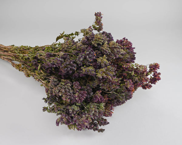 Dried Oregano Flowers Bunch - Santa Cruz