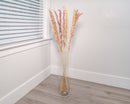 Bundle of natural dried wild oats in soft beige and light brown tones arranged in a clear glass vase, wholesale bulk decor.
