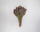 Bulk bunch of natural dried oregano flowers with purple blooms and green stems.