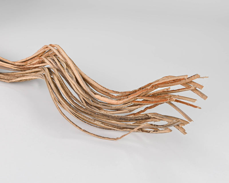 Dried Coco Fingers
