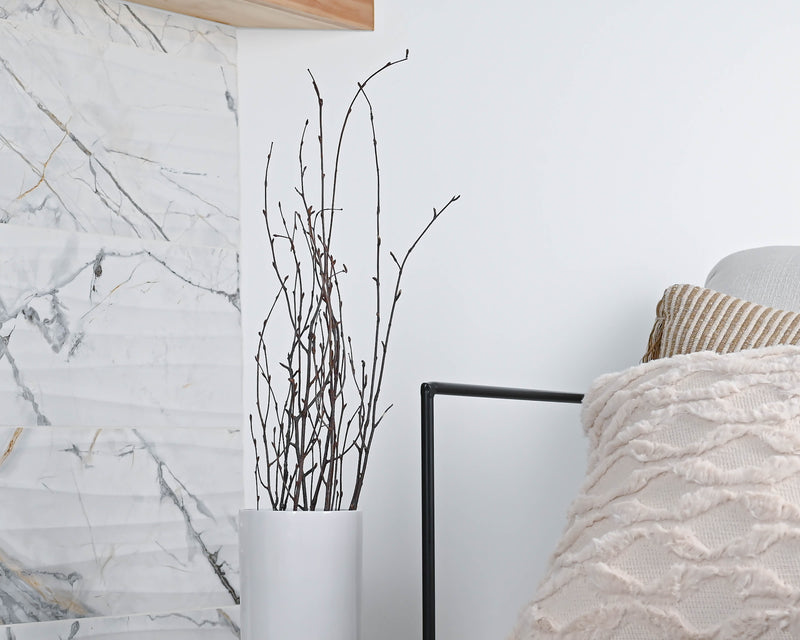 Decorative Birch Branches For Sale | Natural Brown