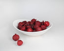White bowl filled with natural dried pomegranates in wholesale bulk packaging.
