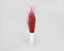 Dried natural sweet huck branches in fire red arranged in white vase, wholesale bulk 8oz bunch.