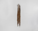 Dried natural ringneck pheasant feathers 16-18 inches, bulk wholesale 12 bunches.