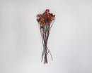 Bundle of dried natural rose hips with slender dark stems on a light background.