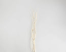 Bleached off-white dried Mitsumata branches bundled for wholesale bulk decor.