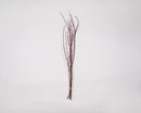 Bundle of dried natural dogwood branches with long stems, wholesale bulk set.