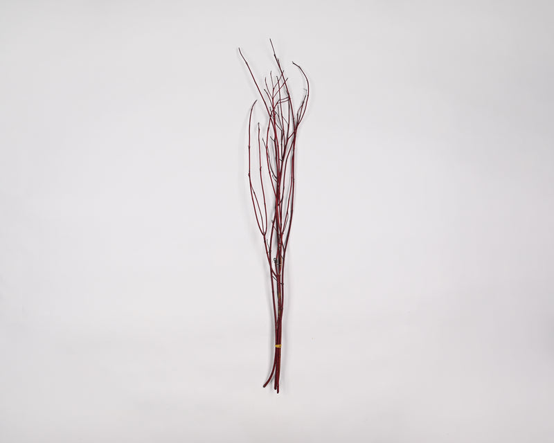 Dried Dogwood Branches | 100 Branches | Reddish to Black