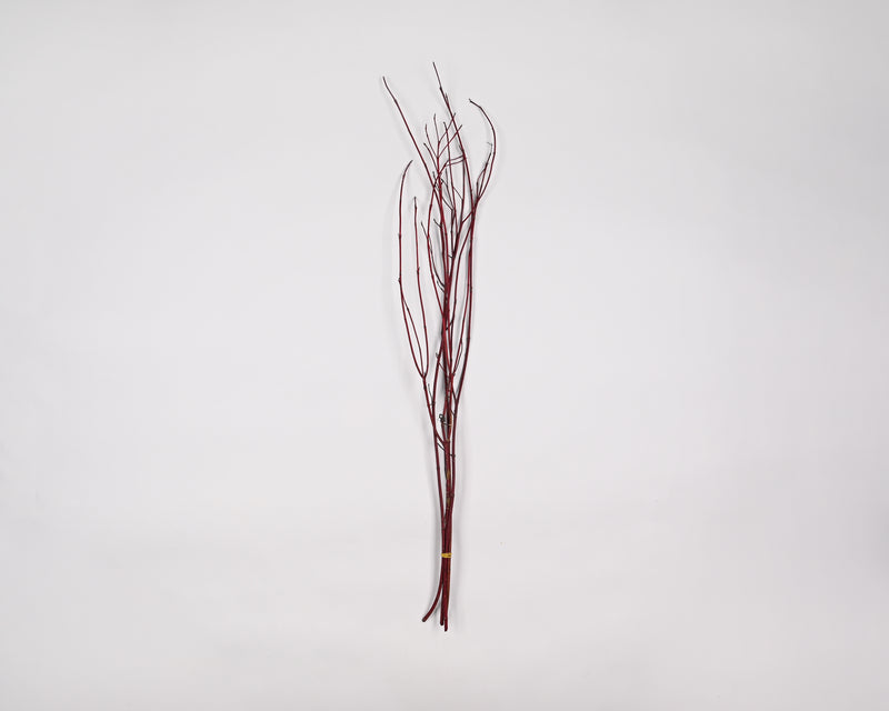 Dried Dogwood Branches   * Available mid-October through May *