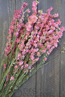 Bundle of natural dried pink larkspur flowers with green stems on dark wood background, wholesale bulk sale.