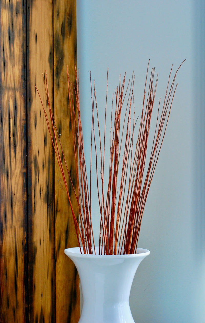 Asian Willow | 3'-4' | Burnt Oak