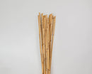 Bundle of dried natural river cane bamboo sticks in a bulky wholesale bunch.