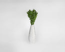 Dried natural green boxwood bunch in tall white textured vase, wholesale bulk arrangement.