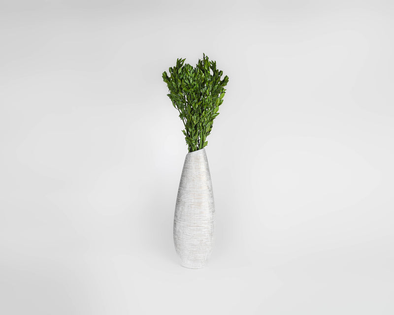 Decorative Dried Boxwood - Naturally Preserved | 12 Bunches | Dyed Green