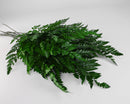 Bundle of natural dried green leatherleaf leaves, wholesale bulk bunches.