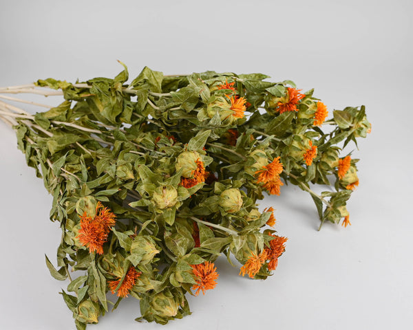 Dried Safflower Bunches | 20 Bunches