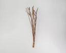 Bundle of natural brown dried Japanese fantail willow branches for wholesale bulk use.