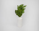 Bulk dried natural boxwood bunches dyed green displayed in a white ceramic vase.