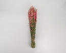 Bundle of dried natural pink larkspur flowers tied with twine, wholesale bulk arrangement.
