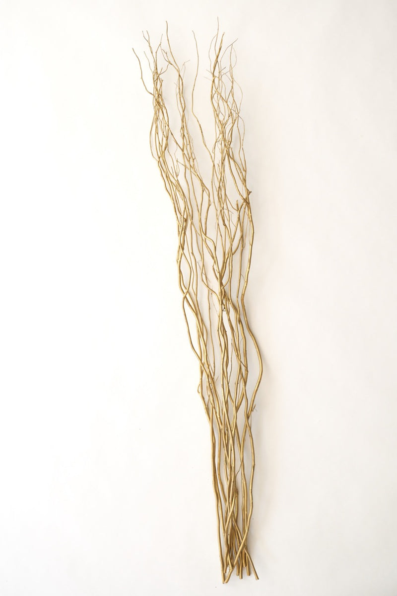 Gold Dried Curly Willow Branches (Long Stem)