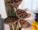 Close-up of natural dried lotus pods in bulk, showcasing hollow seed cavities and textured brown surface.