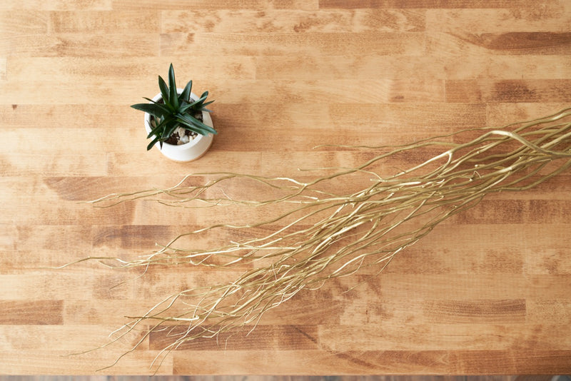 Gold Dried Curly Willow Branches (Long Stem)