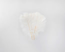 Bulk natural white dried ostrich wing feathers arranged in a fan shape.
