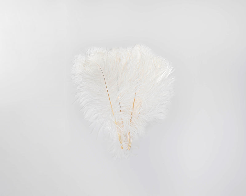 Ostrich Feathers - White Wing Plumes | 12 Bunches | Color Options Available