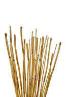 A bundle of河 cane sticks varying in height, primarily in shades of beige and brown, against a white background.