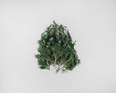 Bulk dried natural juniper mini tips with green foliage and woody stems.