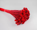 Bulk bundle of natural dried red button flowers with long stems for wholesale decor.