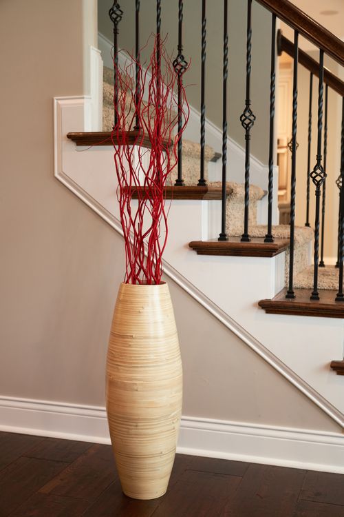 Red Curly Willow Branches (Long Stem)