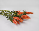 Bundle of dried natural Indian Paintbrush flowers with green stems in vibrant orange to red hues, wholesale bulk lot.