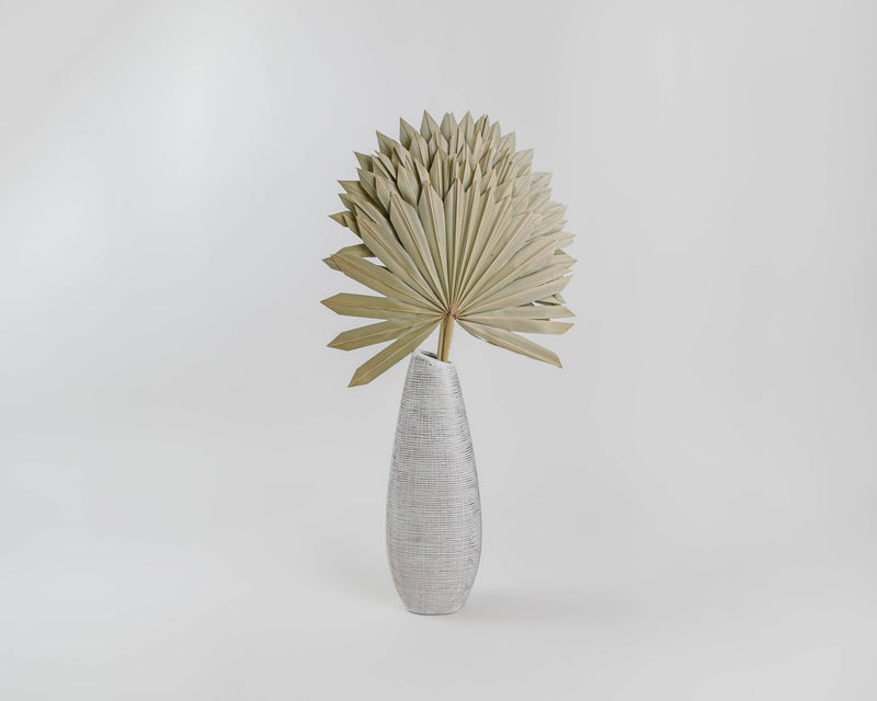 Dried Sun Palm Leaf Fans