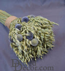 Dried natural Wild and Free Echinops oats bouquet with light green stalks and blue thistle flowers in bulk wholesale bunch.
