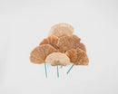 Bulk wholesale dried natural sponge mushroom pods with textured fan shapes on stems.