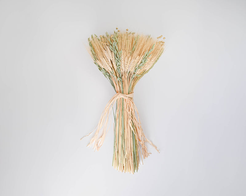 Mixed Grain Wheat Bundle | 8 Long Stem Bunches