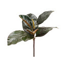 Bundle of 13" dried green magnolia leaf stems with natural texture, wholesale bulk set of 12.