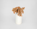 Natural dried Canella berry bunches in light brown tones arranged in a white ceramic vase.