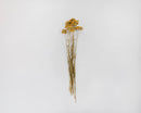 Natural dried yellow yarrow bunch with thin stems, ideal for wholesale bulk decor.