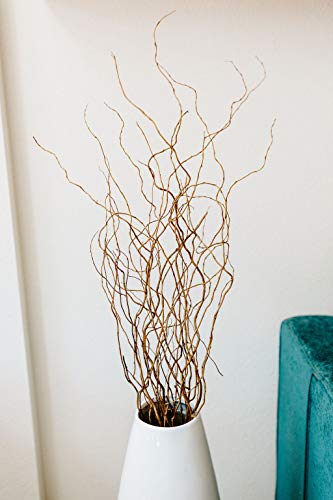 Curly Willow Branches (Long Stem) | Brown