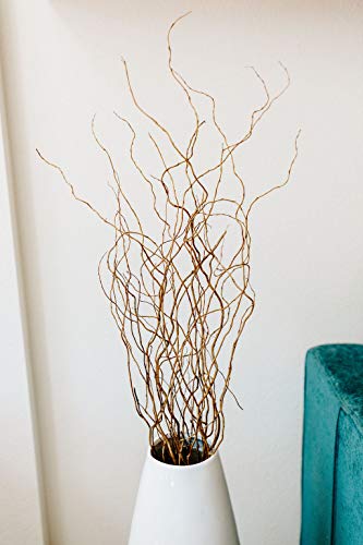 Brown Curly Willow Branches (Long Stem)