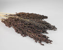 Bulk dried broom corn bunches in natural black, arranged in a wholesale bundle.