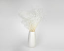 A bunch of dried white baby's breath flowers, arranged in a white vase against a white background.