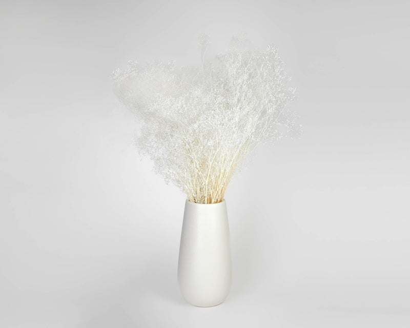 White Sparkle Stardust Gypsophila - Baby's Breath