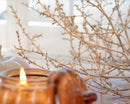 Natural dried baby tumbleweed branches with delicate spindly stems, ideal for wholesale bulk decor.